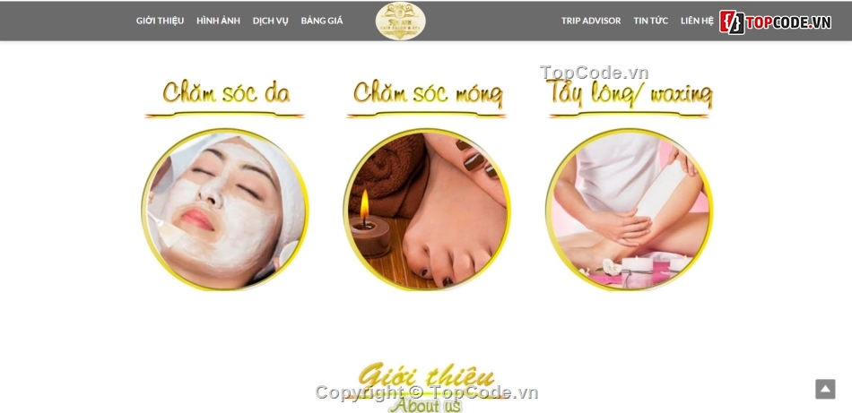 Share code chuyên nghiệp,Website Thẩm mỹ viện Spa,share code thẩm mỹ viện